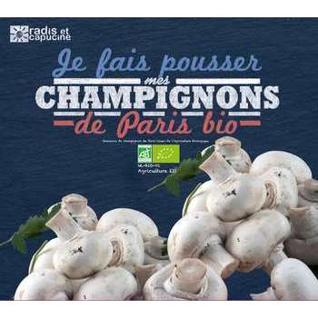 Boîte culture champignon paris : 30x27cm