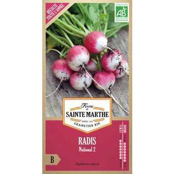 Graines de radis national 2 Bio en sachet