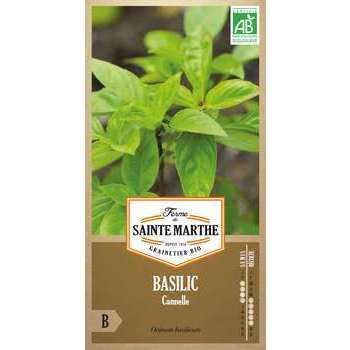 Basilic cannelle - En sachet