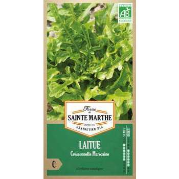 Graines de laitue cressonnette marocaine Bio en sa