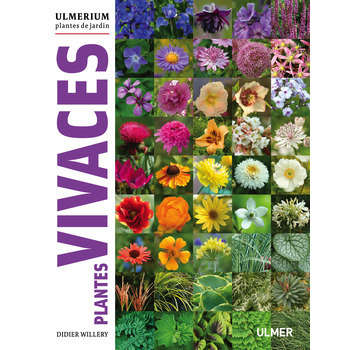 Livre: Plantes vivaces Ulmerium