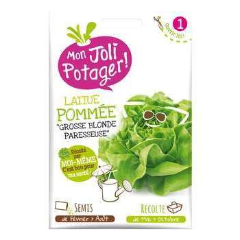 Laitue pommée grosse blonde : à semer