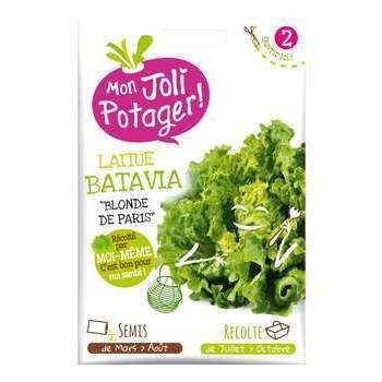 Laitue batavia blonde de Paris : à semer