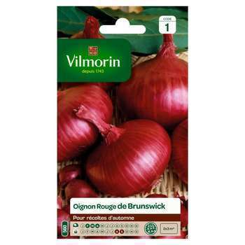 Graines d'oignons rouge de Brunswick en sachet