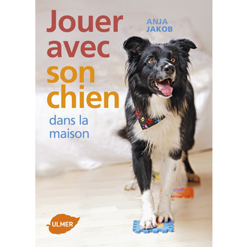 Livre Jouer avec son chien