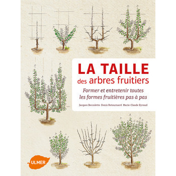 Livre Taille des Arbres fruitiers : 336 p