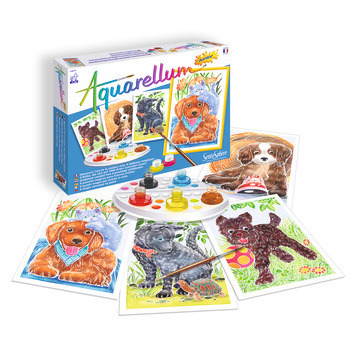 Aquarellum Junior - Chiots