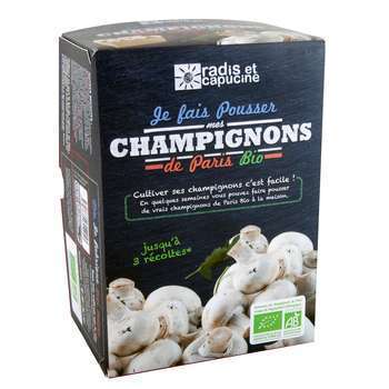 Mini kit champignons de Paris