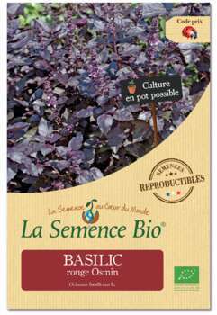 Graines potagères basilic rouge Osmin Bio en sache