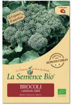 Graines potagères brocolis calabrais hâtif Bio 0,5