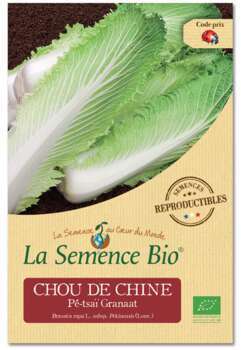 Graines potagères Chou de Chine Pé-tsaï Granaat Bi
