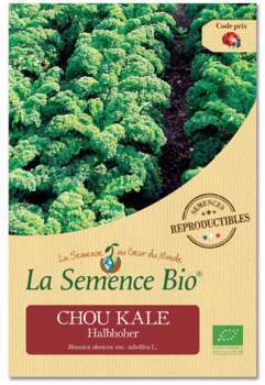 Graines potagères Chou Kale Halbhoher Bio