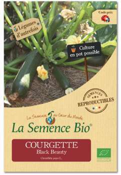Graines potagères courgette Black Beauty Bio en sa