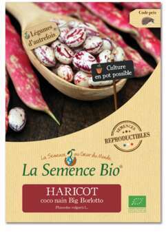 Graines potagères haricot coco nain Big Borlotto B