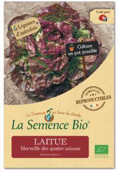Graines potagères laitue Merveille des quatre sais