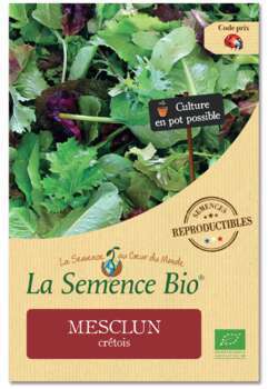 Graines potagères Mesclun Crétois Bio
