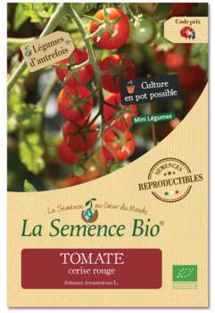 Graines de tomate Cerise Rouge Bio en sachet