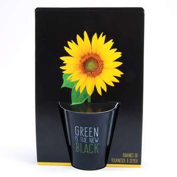 Kit de plantation black Tournesol