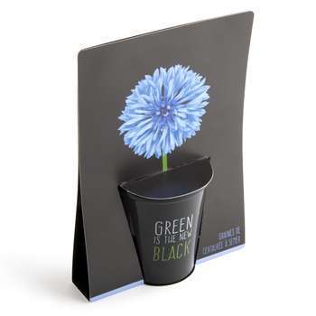 Kit de plantation Black bleuet