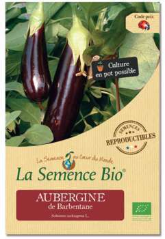 Graines potagères Aubergine de Barbentane Bio en s