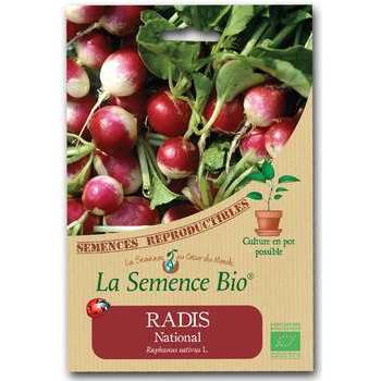 Graines potagères radis National Bio en sachet