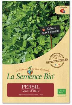 Graines potagères persil Géant d'Italie Bio en sac