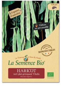 Graines potagères Haricot vert nain grimpant Vital