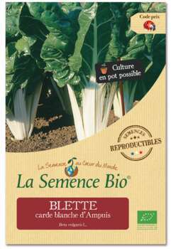 Graines potagères Blette ou Carde Blanche d'Ampuis