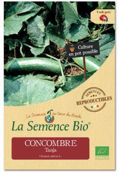 Graines potagères concombre Tanja Bio en sachet