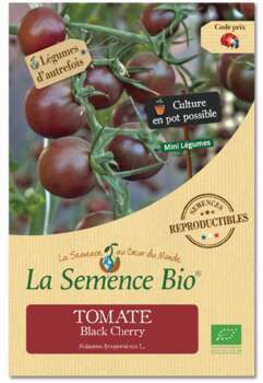 Graines de tomate Cherry Bio en sachet