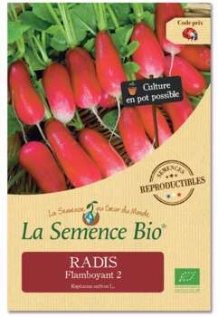 Graines potagères radis Flamboyant 2 Bio en sachet