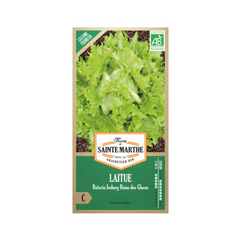 Graines de laitue batavia iceberg Bio en sachet