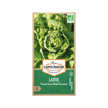 Graines de laitue pommée grosse blonde paresseuse