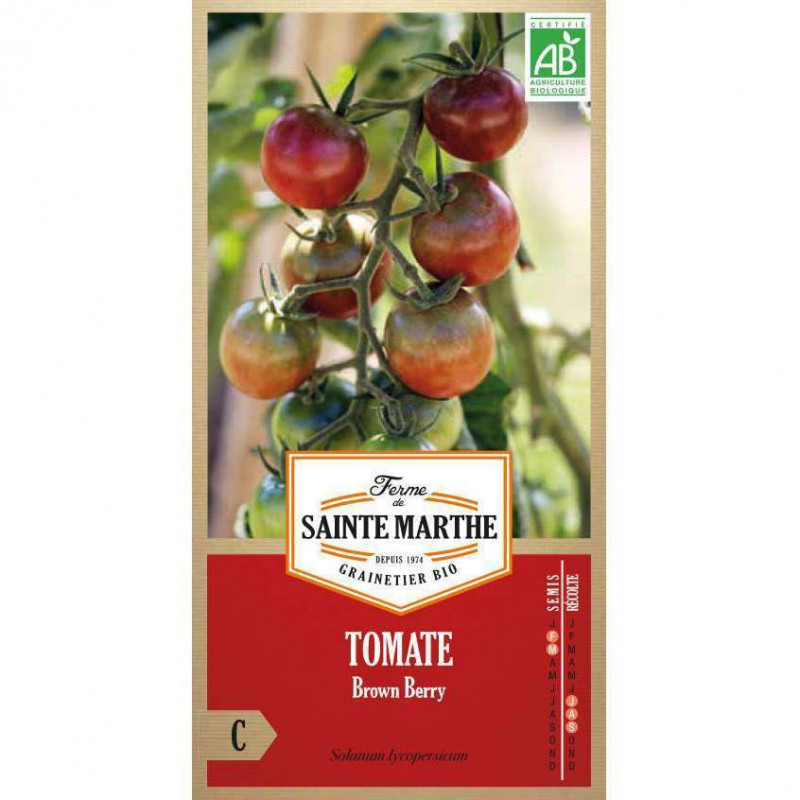 Graines de Tomate 'Brown Berry' : sachet de 50