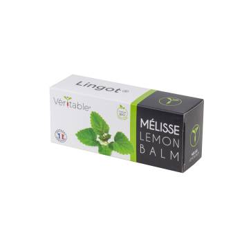 Recharge lingot® de menthe verte bio - pour potage