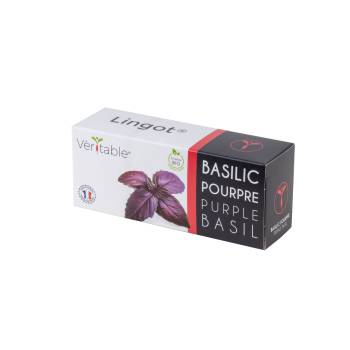Recharge lingot® de basilic pourpre bio - pour pot