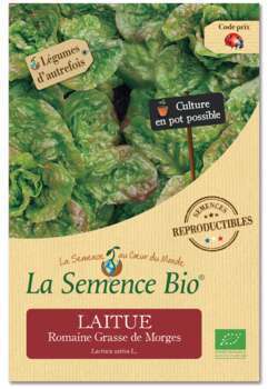 Graines potagères laitue Romaine Grasse de Morges