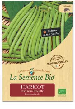 Graines potagères haricot vert nain Rugally Bio en
