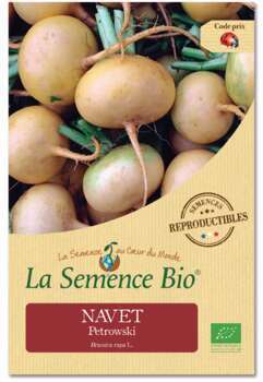Graines potagères navet Ptrowski Bio en sachet