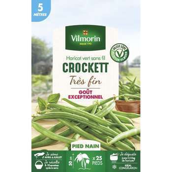 Graines de haricot nain Vert Crockett en boite