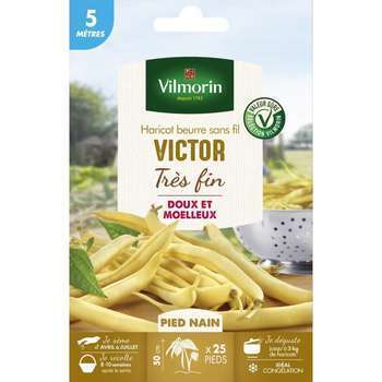 Graines de haricot nain Beurre Victor en boite