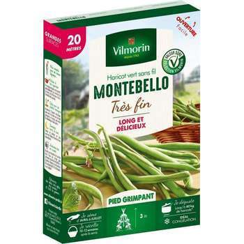 Graines de haricot Grimpant Vert Montebello - 20 M