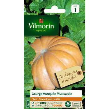 Graines de courge Muscade de Provence en sachet
