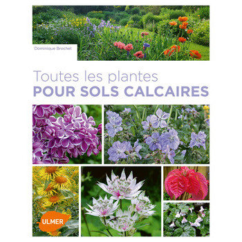 Toutes les plantes pour sols calcaires