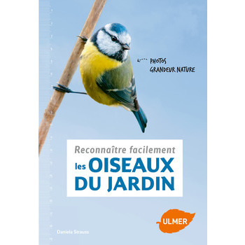 Reconnaître les oiseaux du jardin