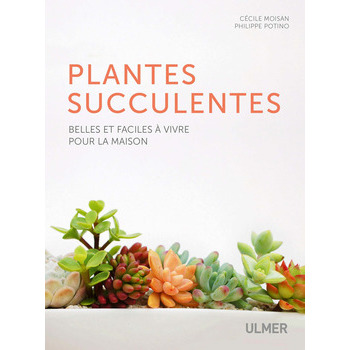 Plantes succulentes faciles à vivre