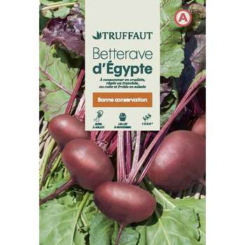 Graines de betterave noire dEgypte en sachet
