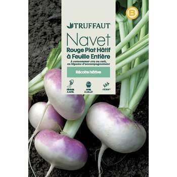 Graines de navet rouge plat hatif à feuilles entie