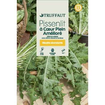 Graines de pissenlit à coeur plein amelioré en sac