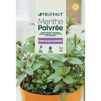 Graines de Menthe poivrée en sachet